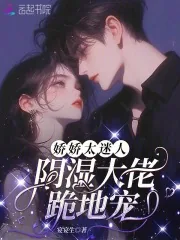 娇娇太迷人，阴湿大佬跪地宠
